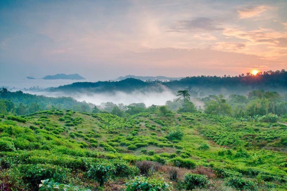 Ranau Backpackers Hostel Dış mekan fotoğraf